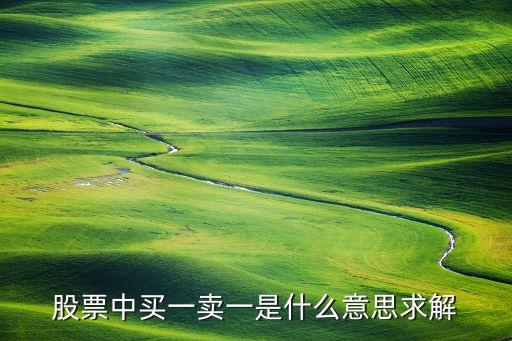 股票賣一買1什么意思，股票的買一或賣一是什么意思如何更好的理解...